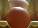 Image of eggs used for representational purposes only.