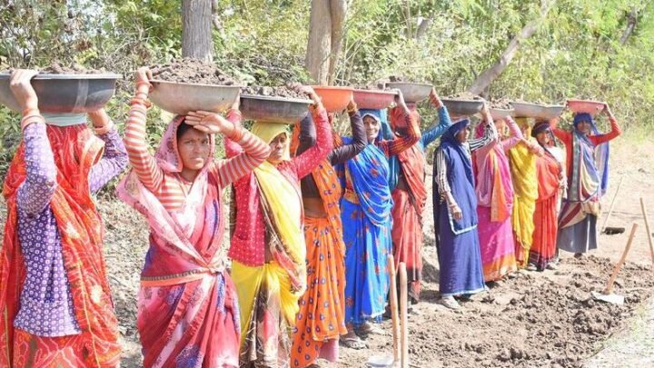 How India’s women ‘water warriors’ turned arid villages into plentiful oases