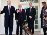 Trump speaks to the news media next to Vice President Mike Pence and Conan, the U.S. military dog