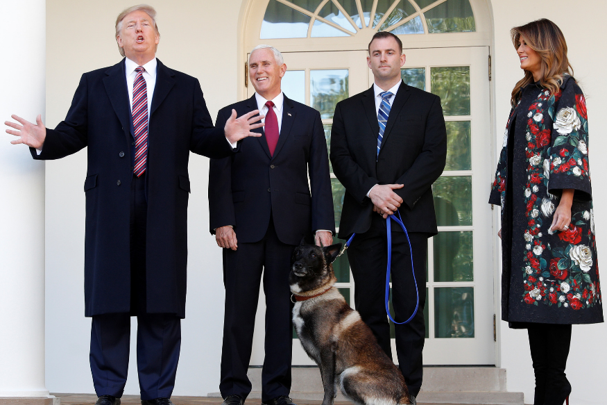 ‘I Love This Dog’: Trump Presents Conan The ‘Incredible’ Hero of Baghdadi Raid, Awards Medal