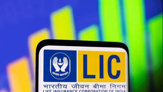Govt may offload up to 25% of its share in LIC in next 5 years