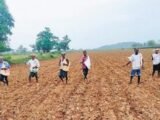 Farmers grievance meeting held in TN's Kottampatti
